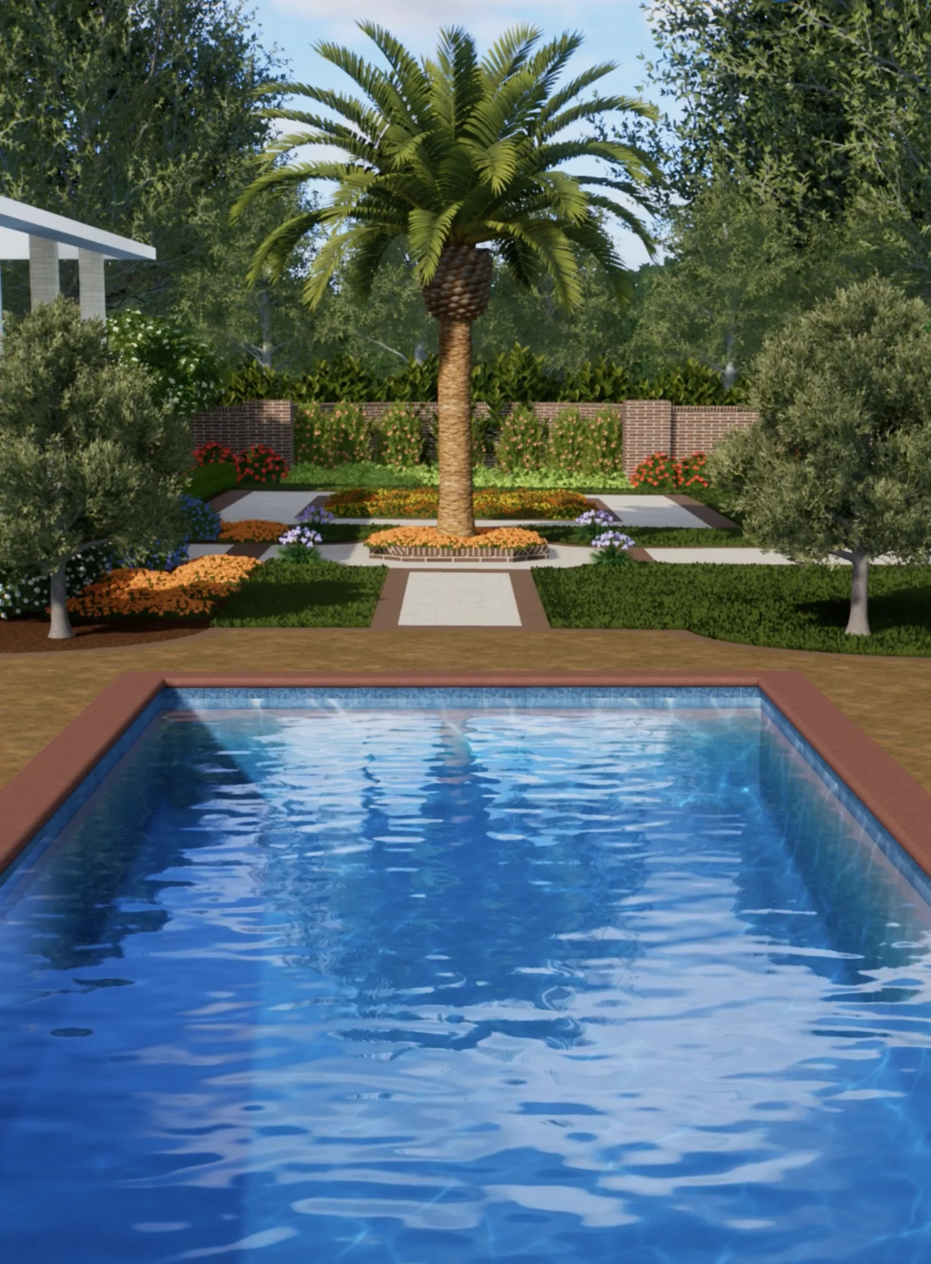 A landscape design rendering with a pool and palm tree